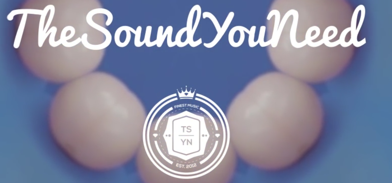 Stamp of TheSoundYouNeed