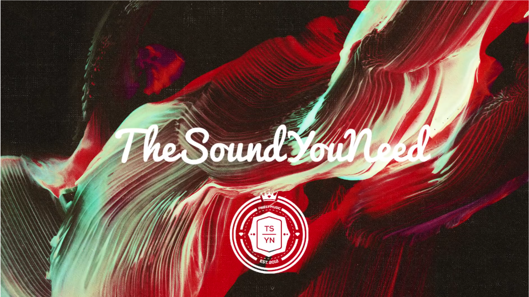 TheSoundYouNeed Video2 graphic